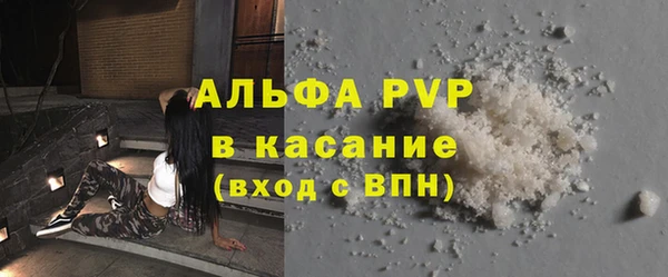 дживик Бородино