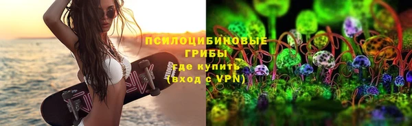бошки Бронницы