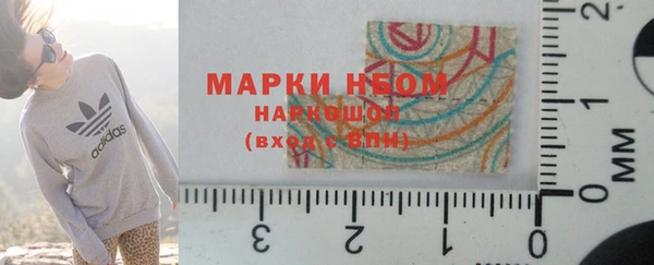 дживик Бородино
