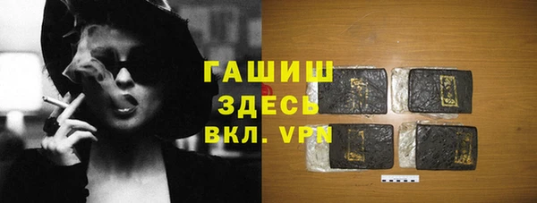 дживик Бородино