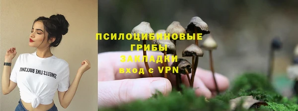 дживик Бородино