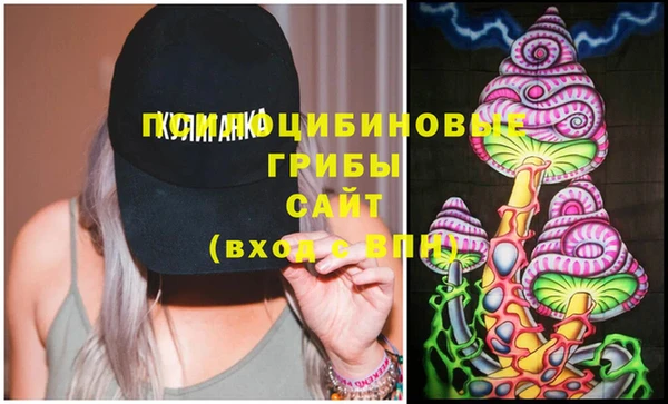 бошки Бронницы
