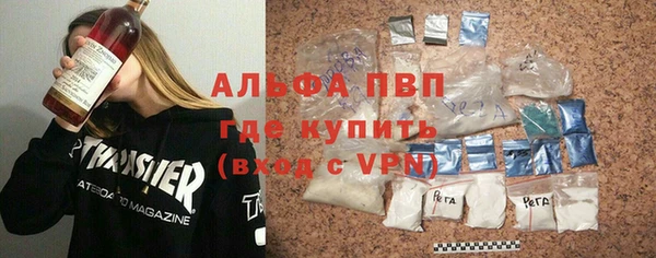 дживик Бородино