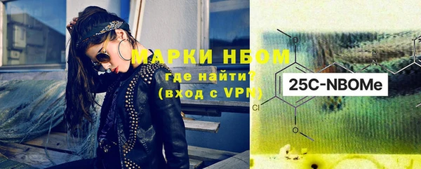 дживик Бородино