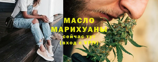 дживик Бородино