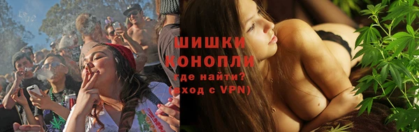 дживик Бородино
